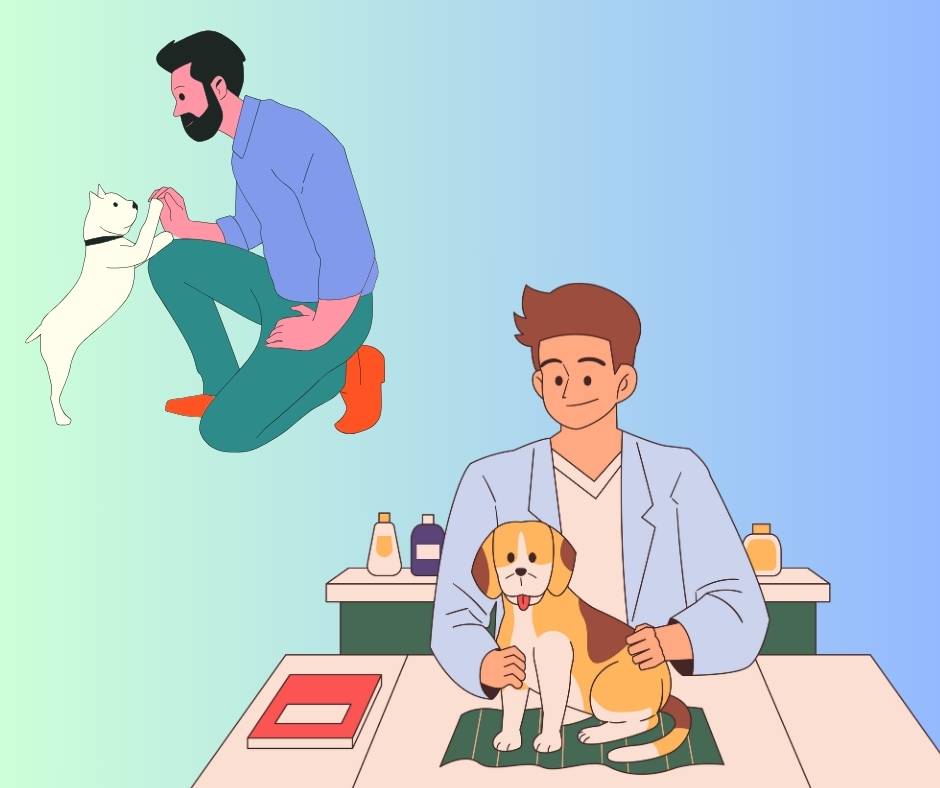 Pet Age Online Calculator